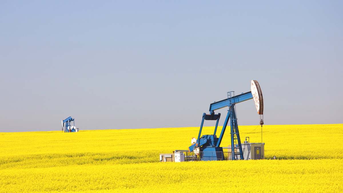 petróleo crudo martillo campo yacimiento