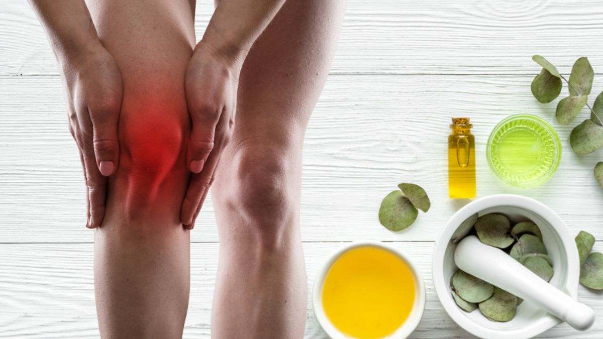 Esta es la hierba medicinal que alivia los dolores de la artrosis y regenera los músculos