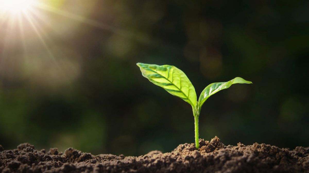 Día de la Tierra: los espanoles se vuelcan a proteger el planeta y promover la sostenibilidad mediante el crowdfunding