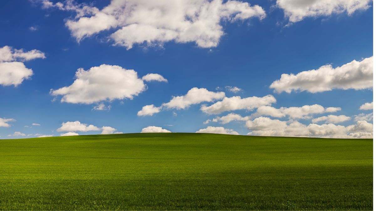 Fondo de pantalla de Windows XP