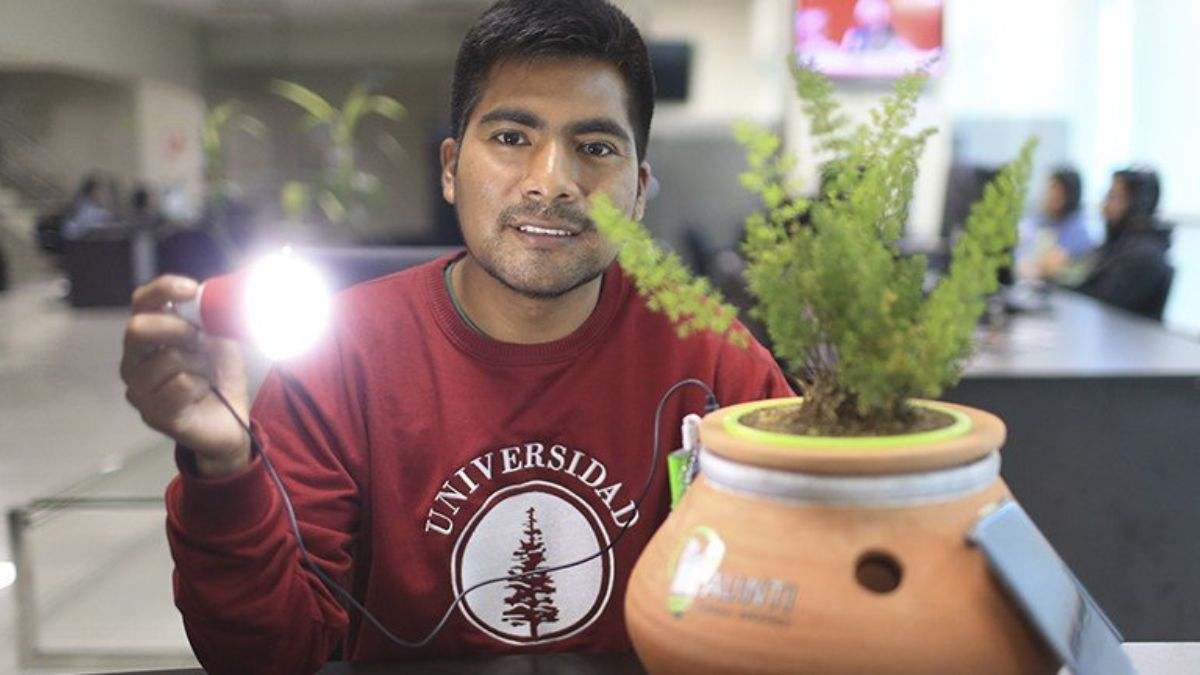 Cuando lo imposible se vuelve posible: así es como un ingeniero ha logrado generar luz a partir de plantas