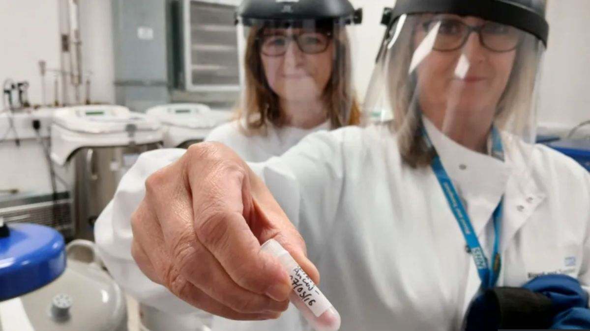 Científicos descubren nuevo grupo sanguíneo tras 50 años de misterio: el hallazgo podría salvar miles de vidas en el mundo