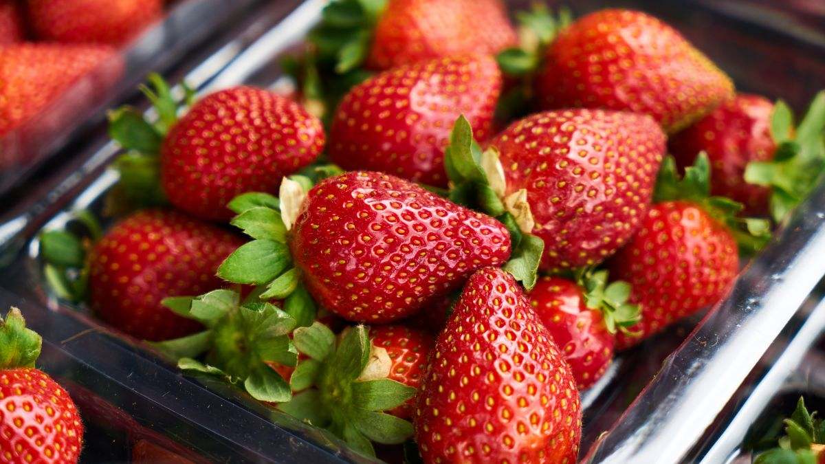 Fresas en una bandeja, foto de recurso.