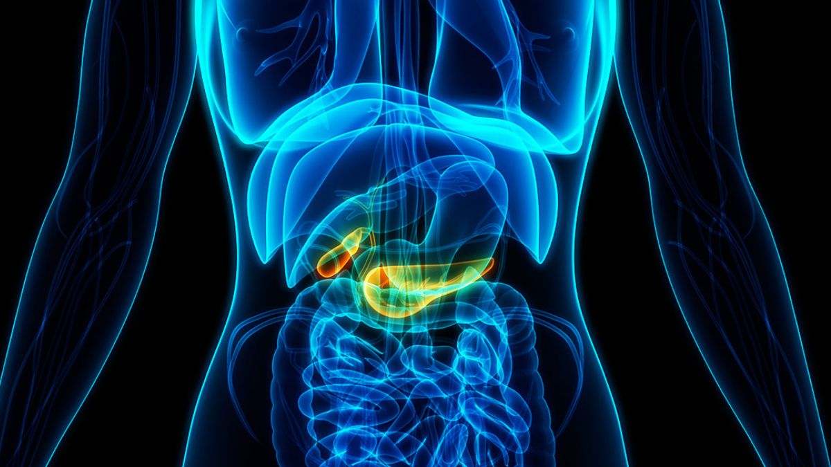 El cáncer de páncreas aparece cuando se forman células cancerosas en los tejidos del páncreas