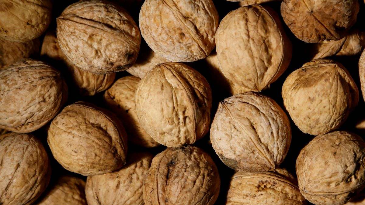 Las nueces son uno de los frutos secos más recomendado para las dietas vegetarianas