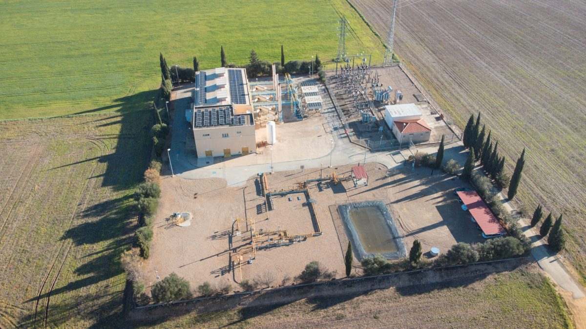 La planta de Tarba
