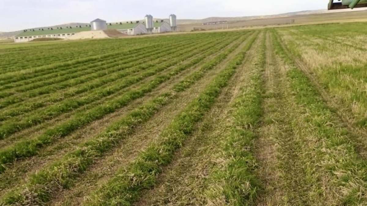 agricultura