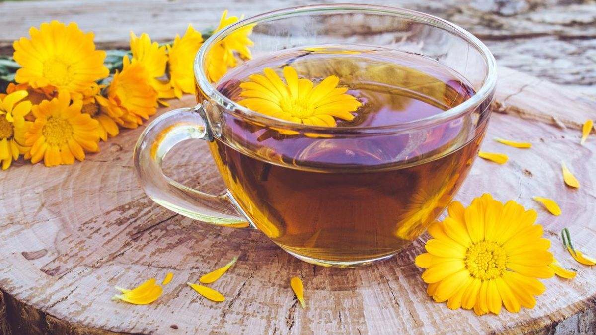 El cardo mariano desempeña un papel importante en la naturopatía