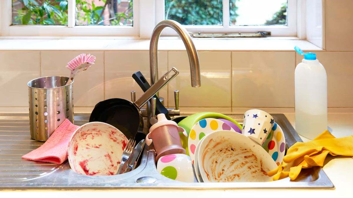 Varios platos de comida juntos