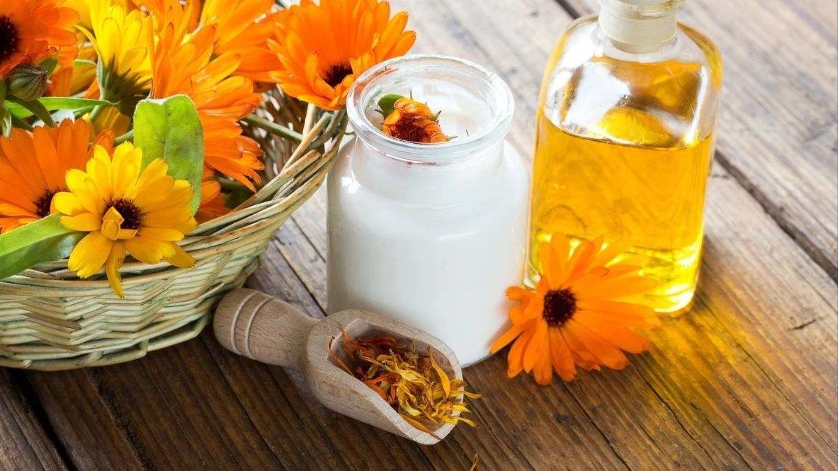 La flor de caléndula se usa comúnmente para heridas, erupciones cutáneas, infecciones, inflamación y muchas otras condiciones
