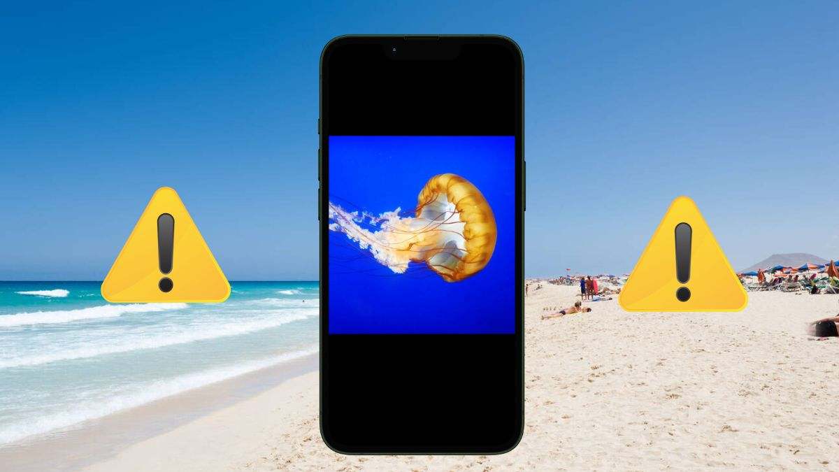 Cómo saber si hay medusas en la playa