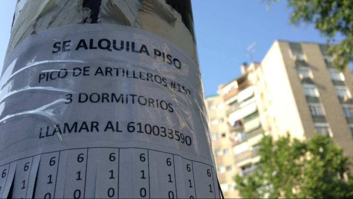 Cartel de vivienda en alquiler pegado en una farola