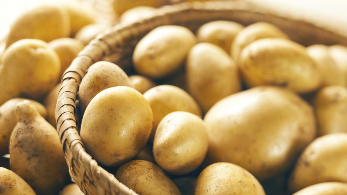 Imagen de recurso de una cesta con patatas.