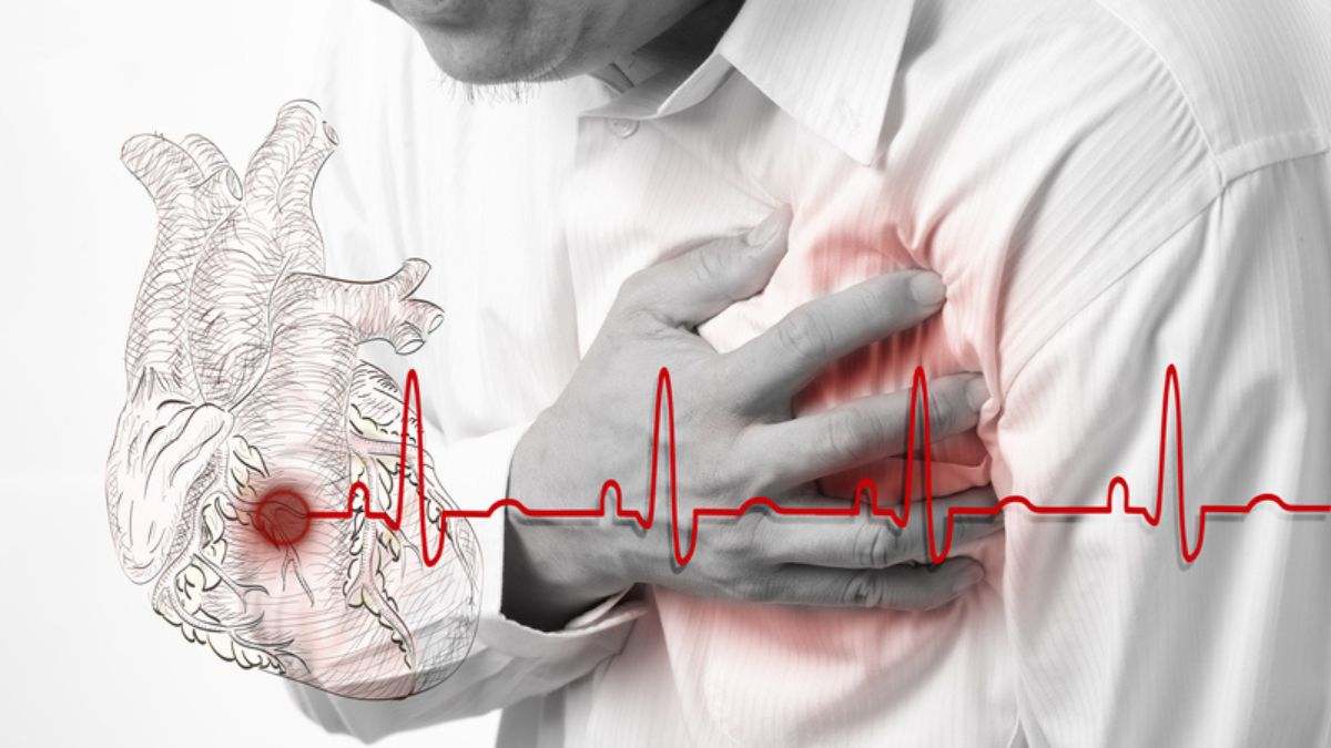 La razón científica que explica por qué los recién nacidos pueden curar su corazón y los adultos no: la importancia de los macrófagos
