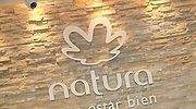 Timberland se compromete a plantar 50 millones de árboles en los próximos cinco años