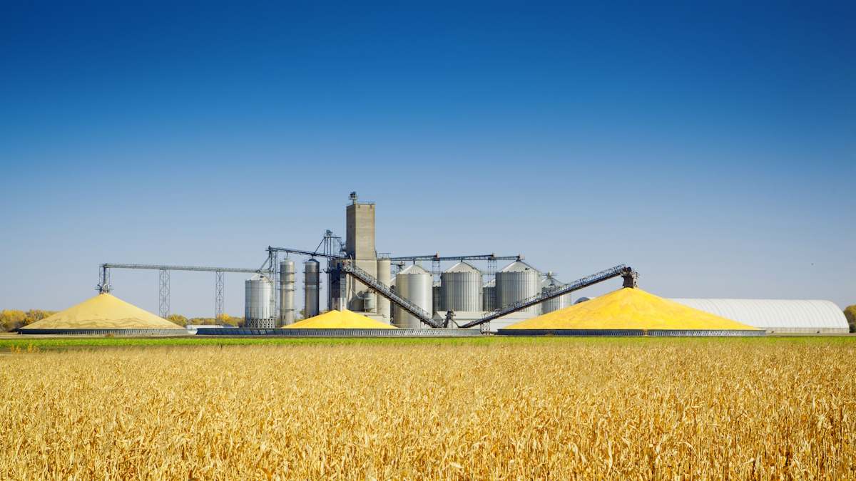 cereales campo economía Suecia Noruega Finlandia