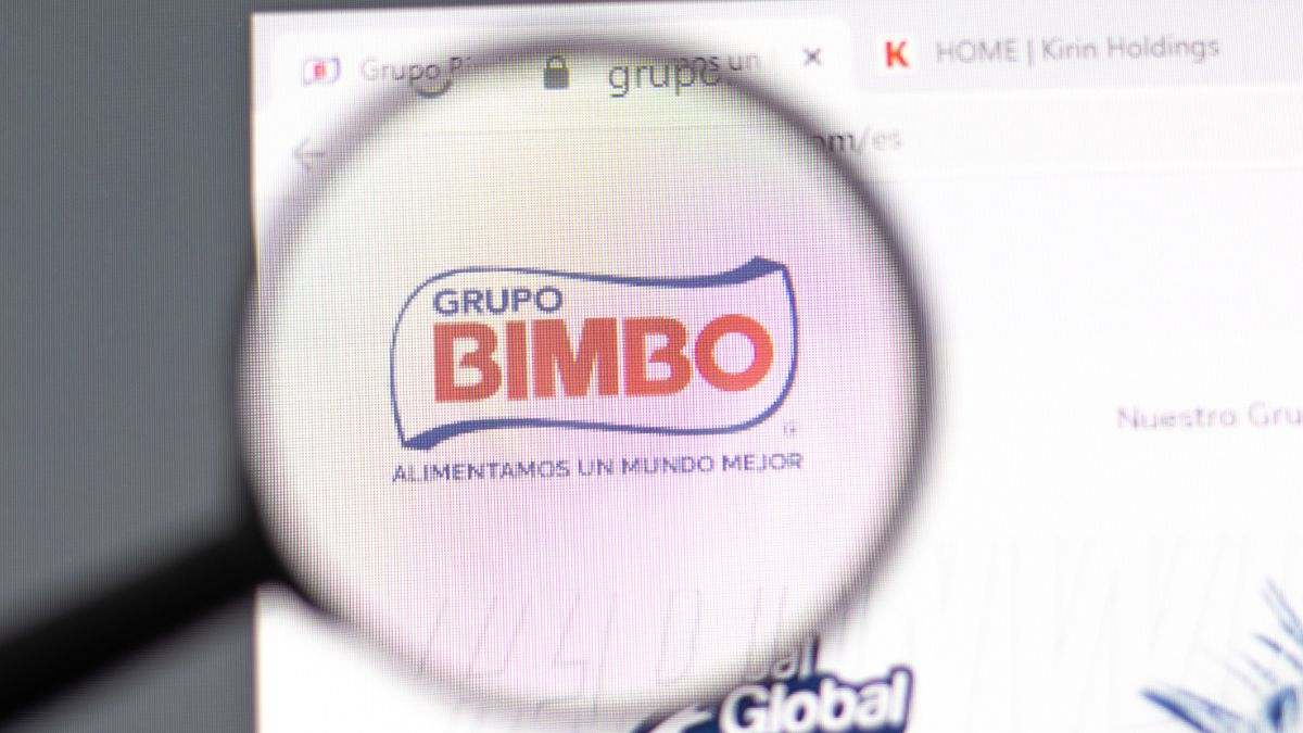 La lista de productos Bimbo que dejan de venderse tras la medida de Día