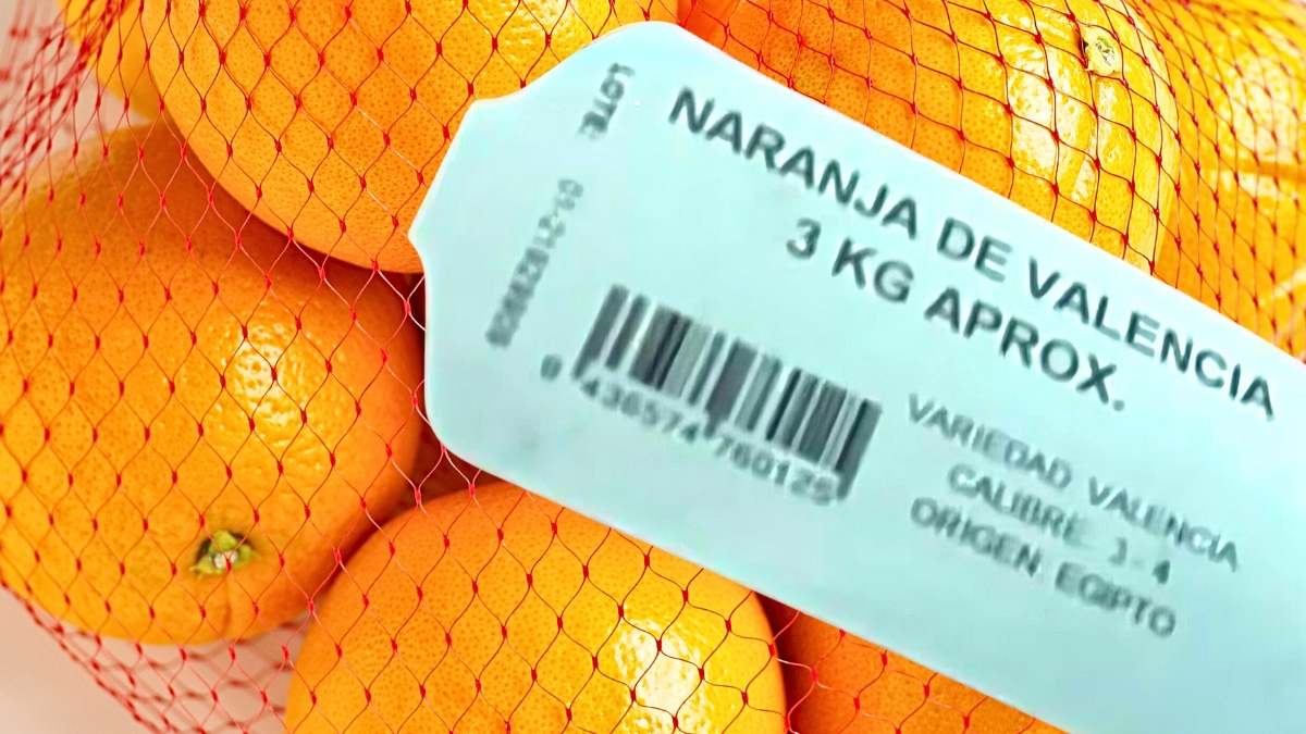 Naranjas de la variedad Valencia y origen Egipto