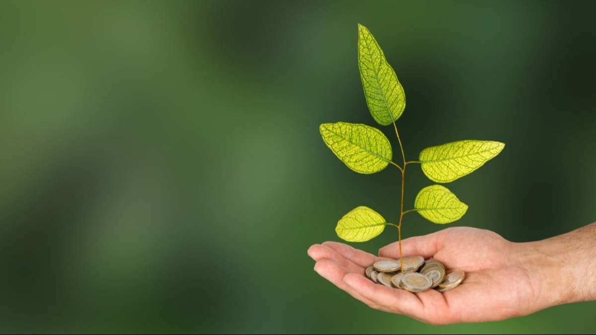 Una mano con una plante