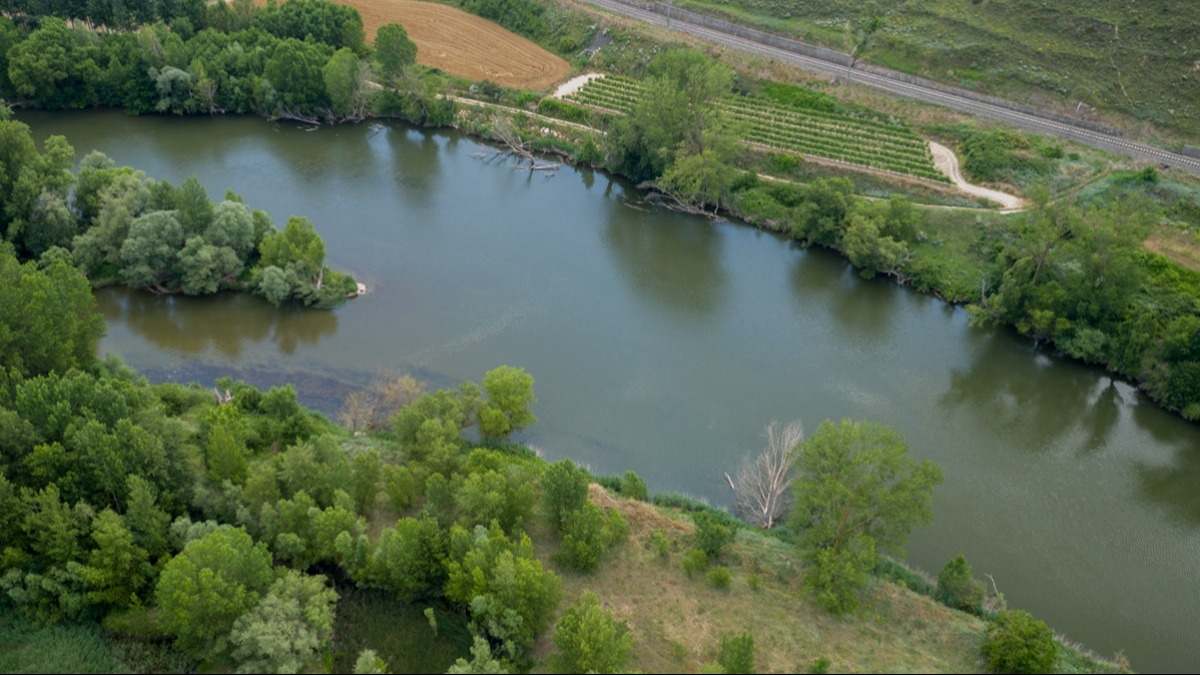 rioebro