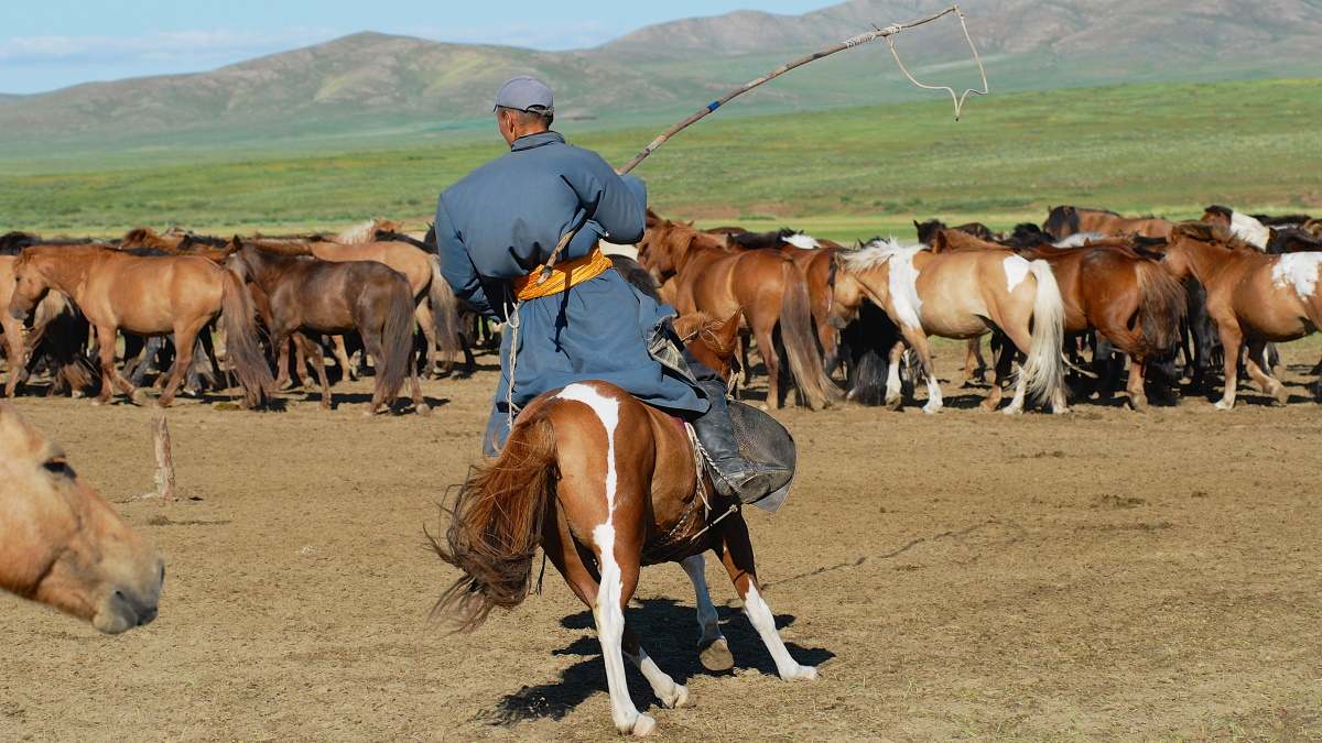 pastoreo caballos Mongolia PIB economía