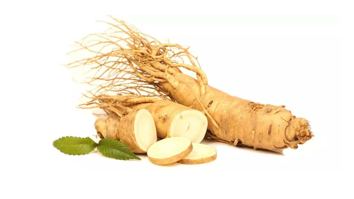 El ginseng es una planta comestible que crece en Asia y Norteamérica