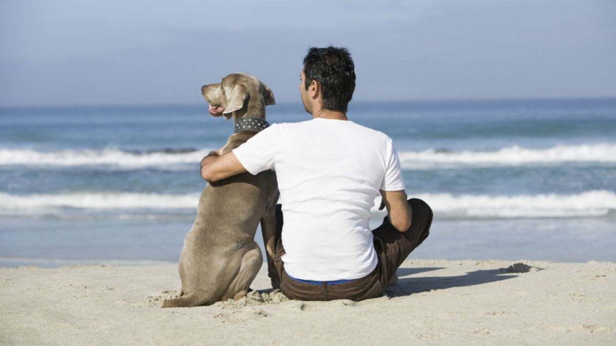Hallan los primeros indicios de la amistad entre humanos y perros hace 12.000 años en este lugar del mundo