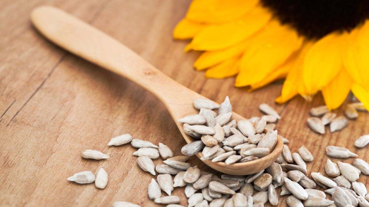 Las semillas de girasol tienen muchas propiedades