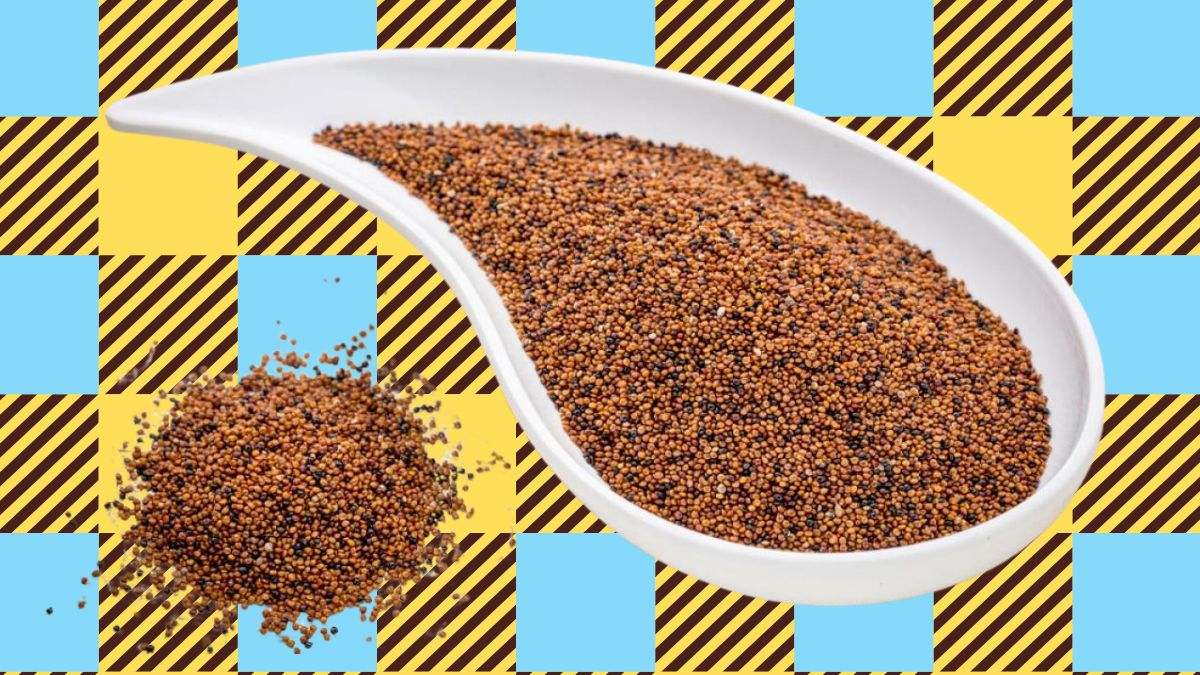 La cañihua es un cereal rico en proteínas