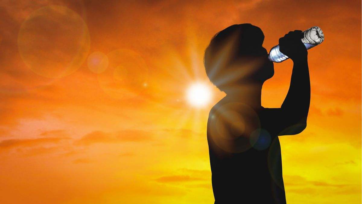 Las temperaturas altas son propias del verano