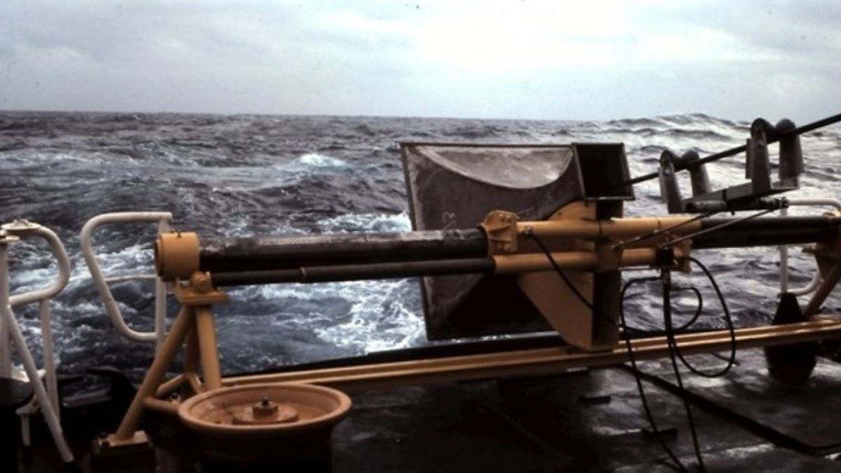 Impresionantes y extraños ruidos del fondo del mar: Son un diálogo entre animales