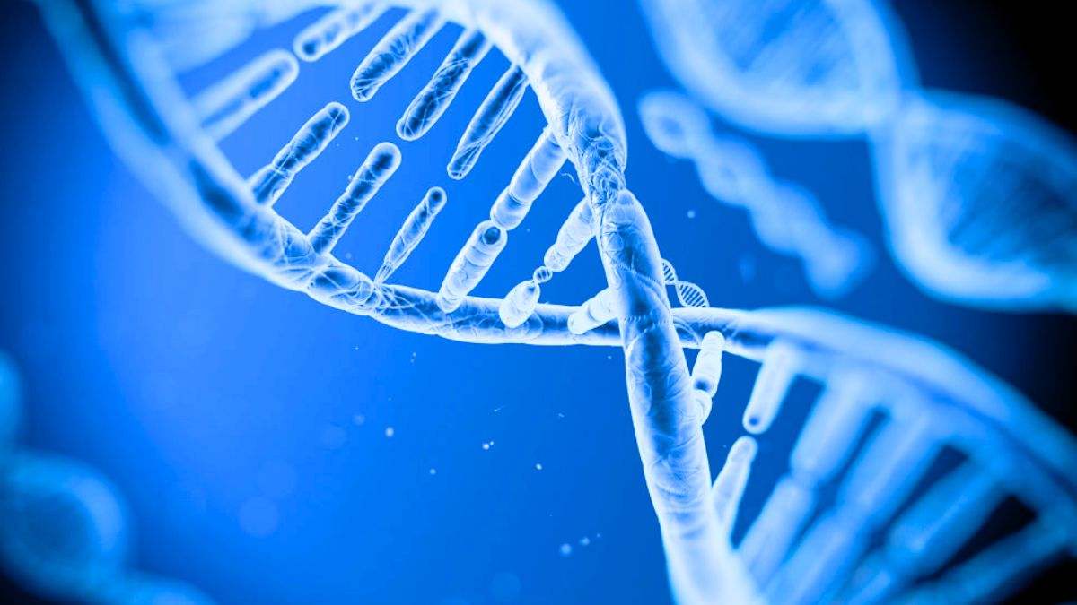 El ADN es la molécula de la vida