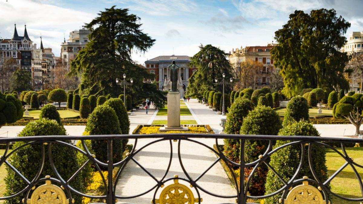 Esta es la razón que explica que el árbol más viejo de El Retiro (y de Madrid) tenga más años que el propio parque