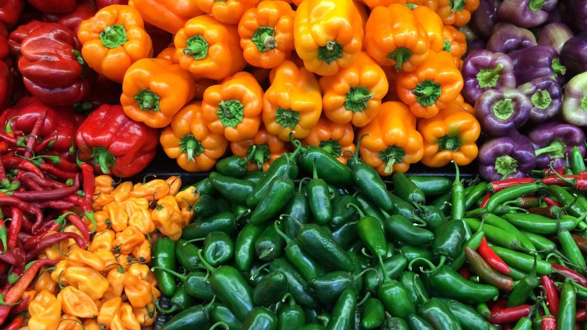 ¿Es recomendable comer pimientos todos los días? ¿Para qué son buenos? Descubre sus propiedades, beneficios y la cantidad recomendada diaria.