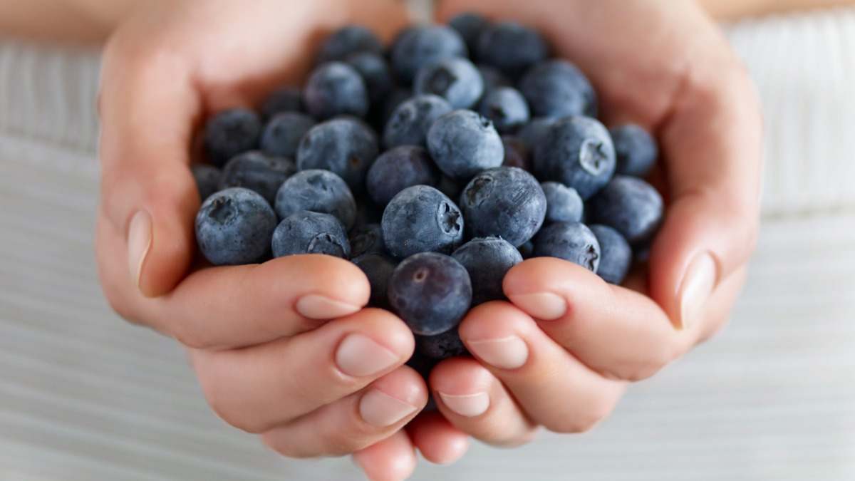 Arándanos: salud y sabor en un solo bocado. Aprende sus beneficios y cómo disfrutarlos. ¡No te lo pierdas!