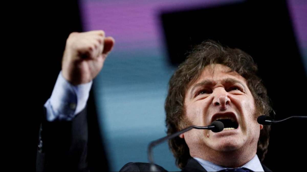 javier milei recortes leyes
