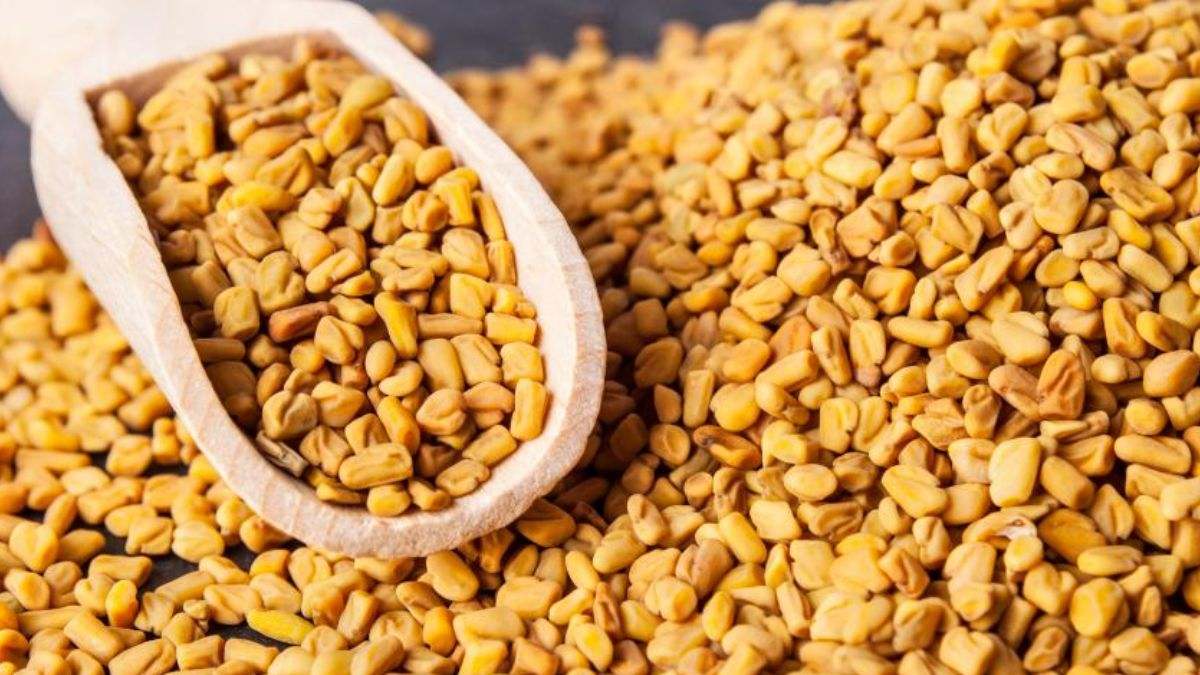 El fenogreco es muy útil para el ser humano por sus propiedades medicinales