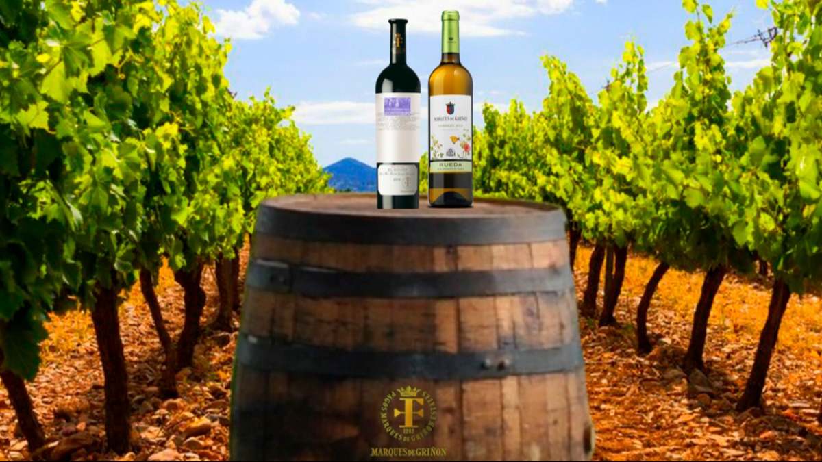 imagen_vino_arco.jpg