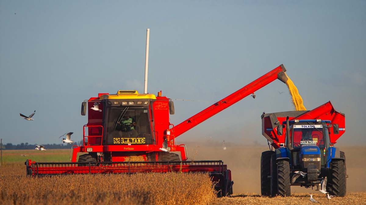 Argentina campo soja economía PIB crédito dólare