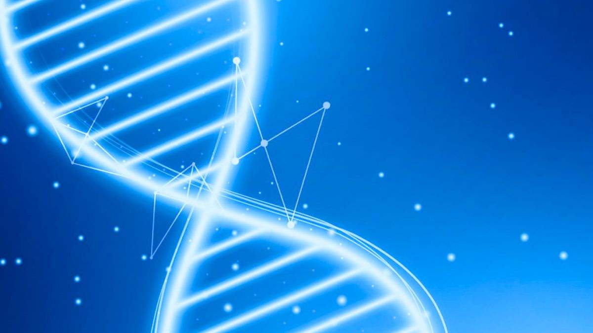 El ADN es el material hereditario de los seres humanos y de casi todo el resto de los organismos