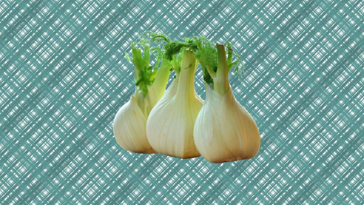 El hinojo es una planta mediterránea