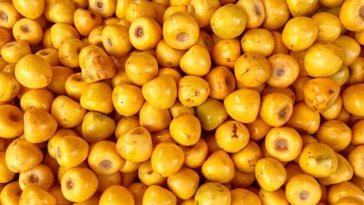 El nanche es rico en vitaminas y agentes antioxidantes