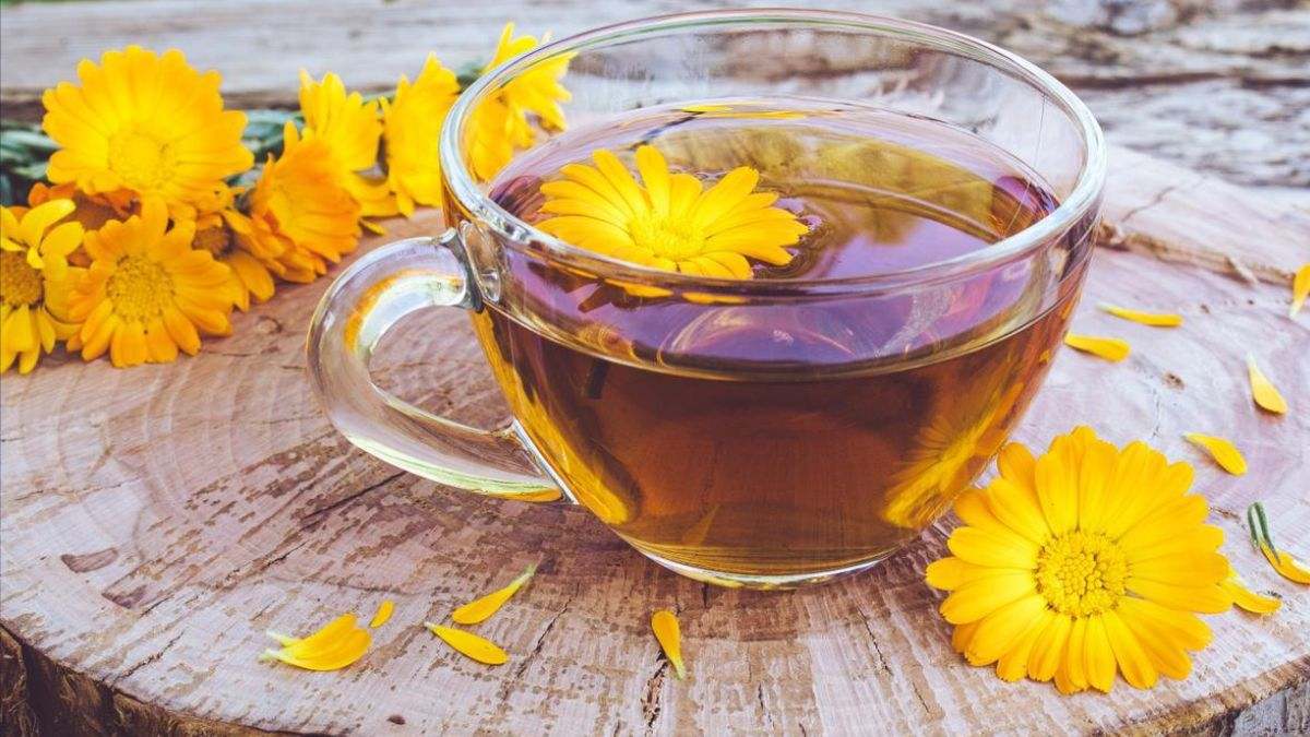 La infusión de cardo mariano está ganando mucha popularidad actualmente
