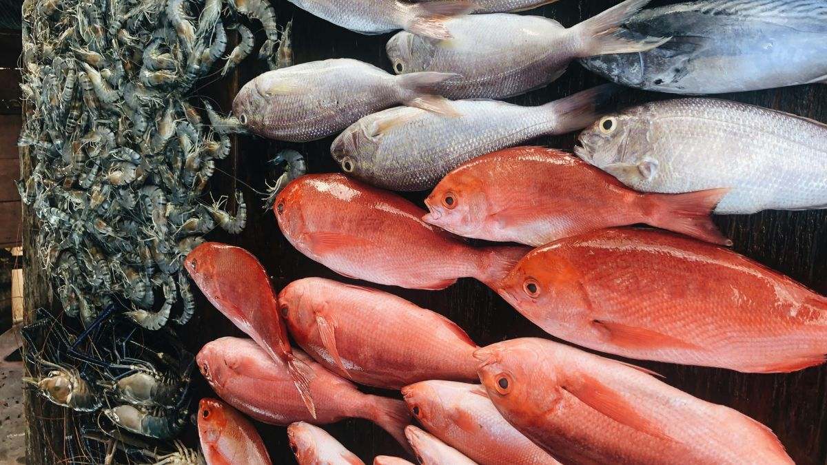 Llevar una dieta saludable tiene muchos beneficios