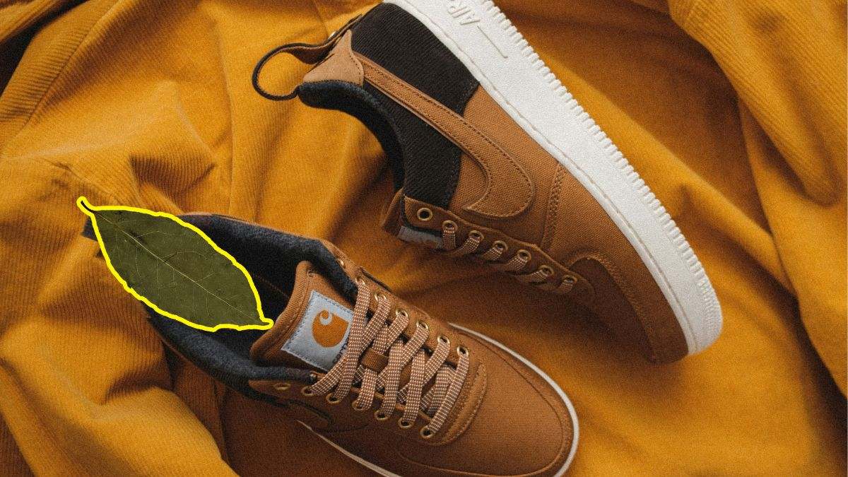 Un par de zapatillas con una hoja de laurel en su interior