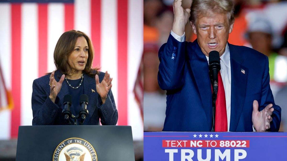 Donald Trump o Kamala Harris: el 'Nostradamus' electoral de EEUU ya sabe quién llegará a la Casa Blanca