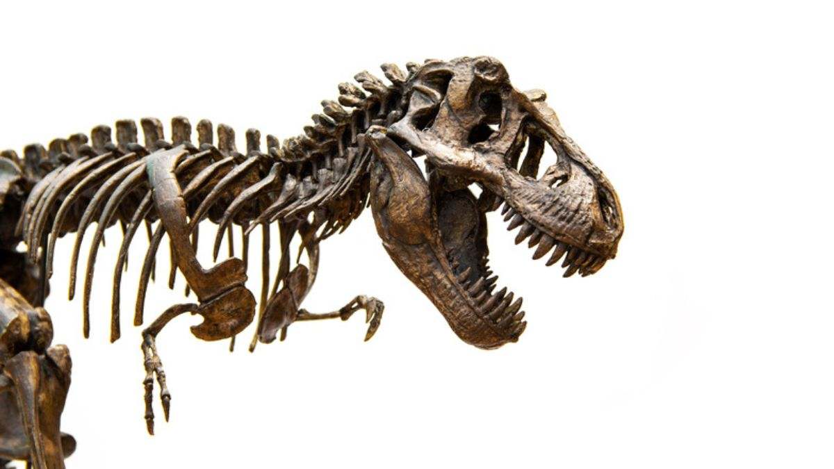 De dónde vinieron los dinosaurios: los científicos dicen haberlo descubierto
