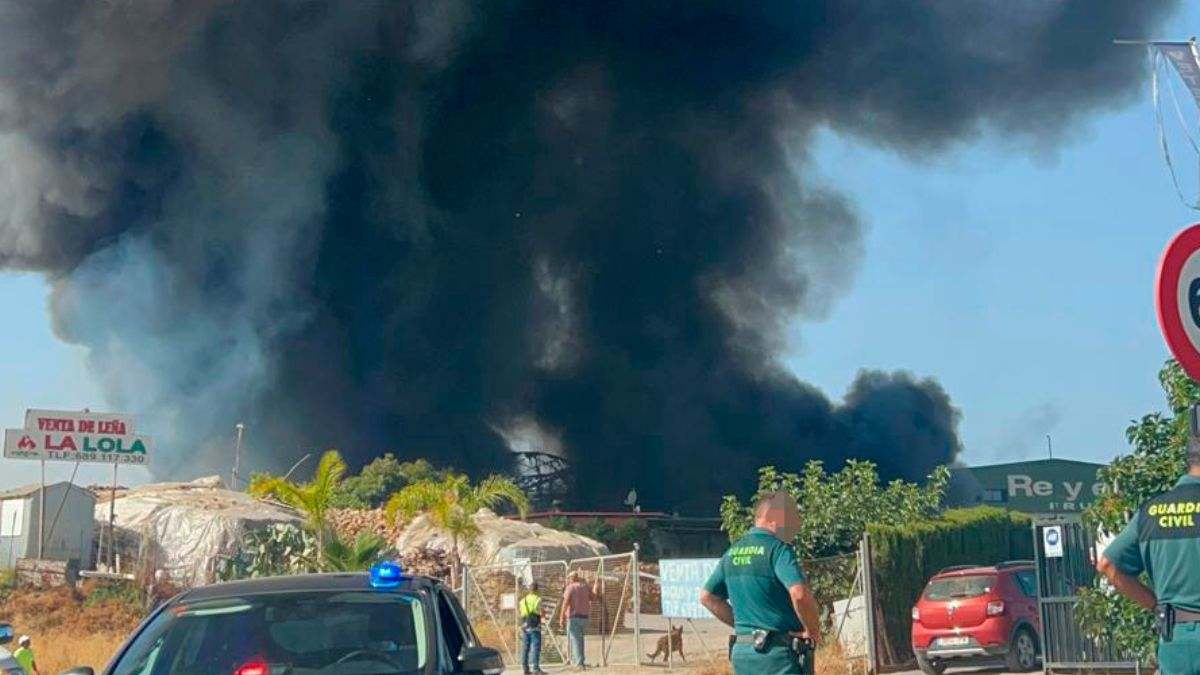 Imagen de la columna de humo.