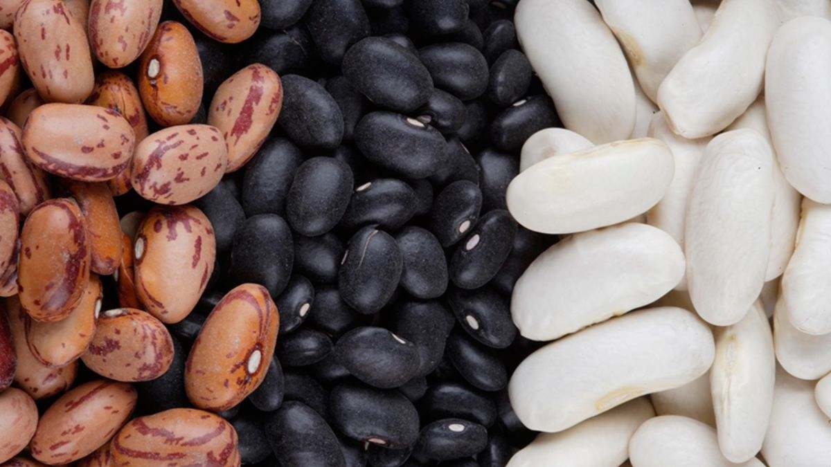 Las alubias son alimentos con bajo contenido en grasa y alto contenido de proteína de origen vegetal