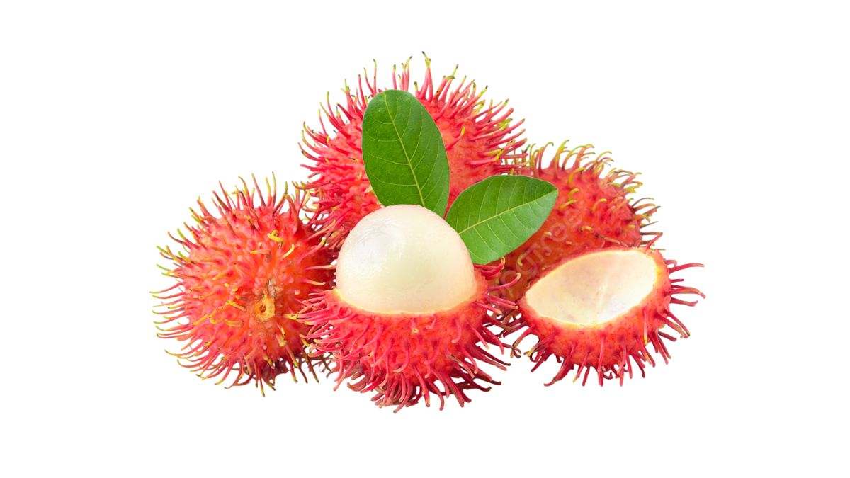 El rambután es una fruta originaria del sudeste asiático tropical